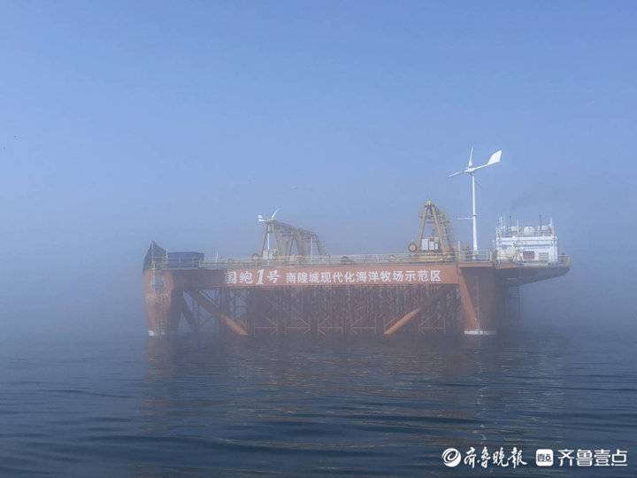 海參鮑魚真饞人！壹粉登上“國鮑1號”觀賞南隍城海珍品