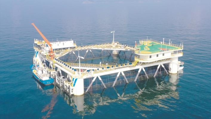 經略海洋|煙臺海洋牧場“百箱計劃”助力鄉村振興，帶動傳統漁業轉型升級