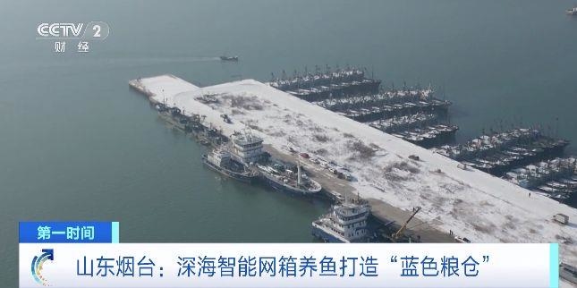 全年不間斷養(yǎng)殖！深海智能網(wǎng)箱養(yǎng)魚打造“藍(lán)色糧倉(cāng)”
