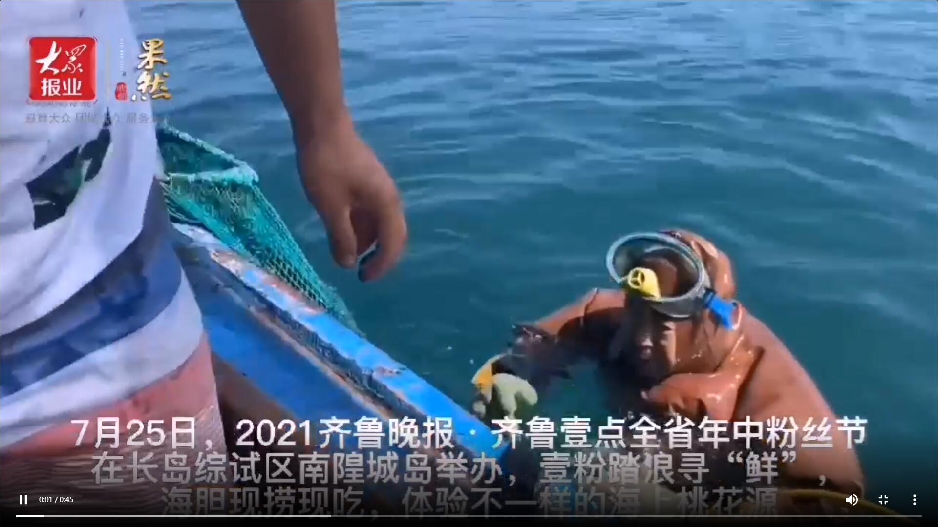 果然視頻|海膽現撈現吃！壹粉踏浪尋“鮮”，直呼太美味