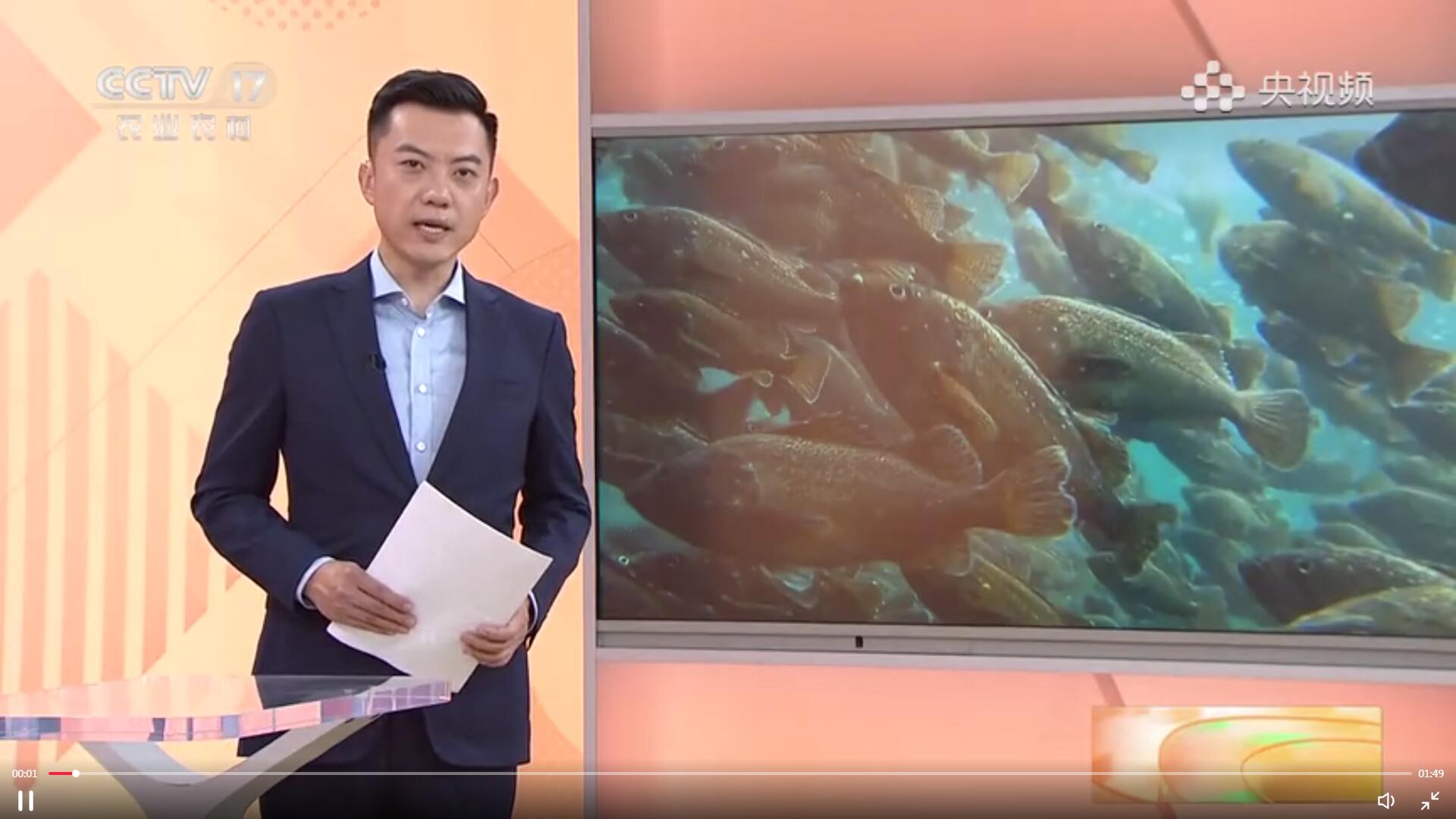 【沉甸甸的收獲】山東煙臺(tái)：深海智能網(wǎng)箱養(yǎng)魚打造“藍(lán)色糧倉(cāng)”