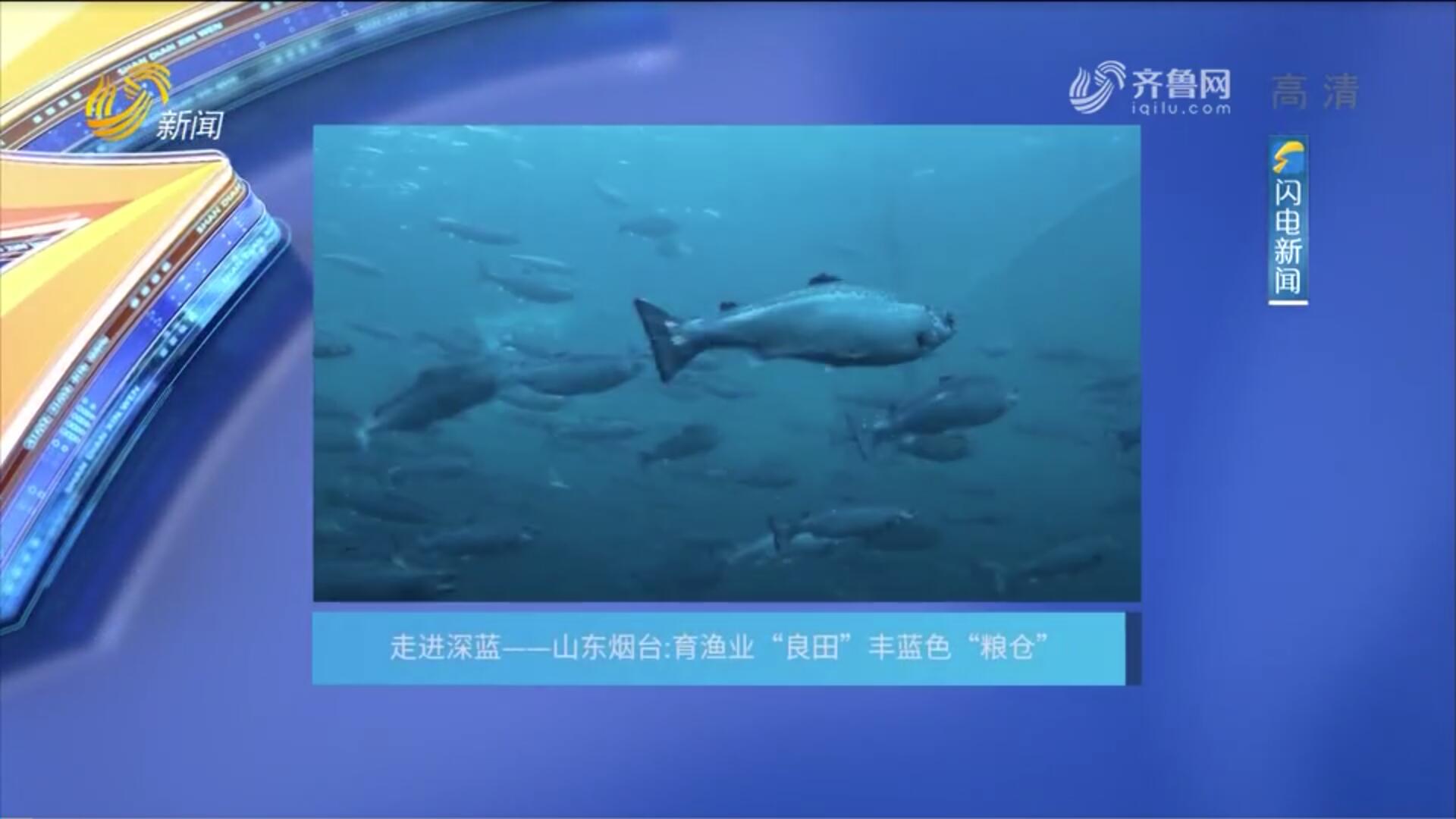 2022年07月30日《走進深藍》完整版