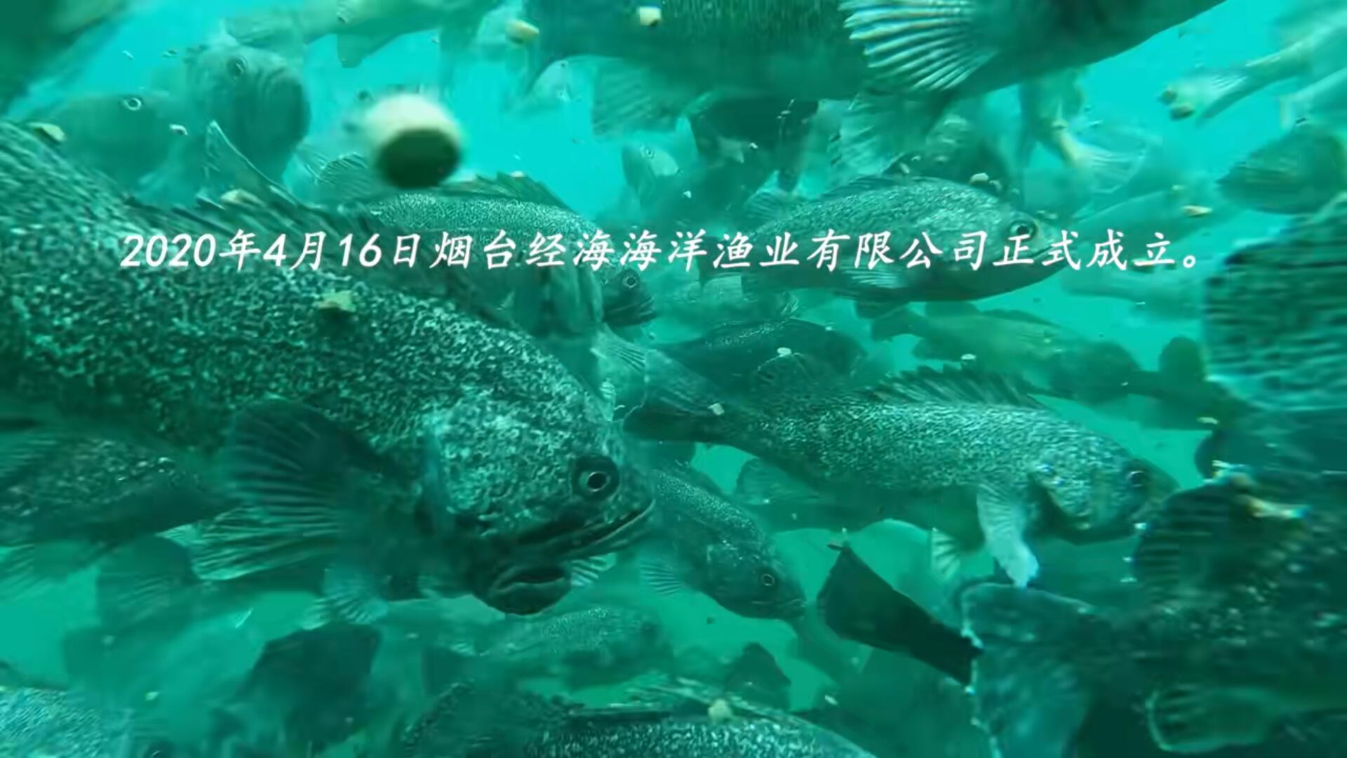 同舟四載，藍海揚帆！慶祝經海漁業成立四周年！