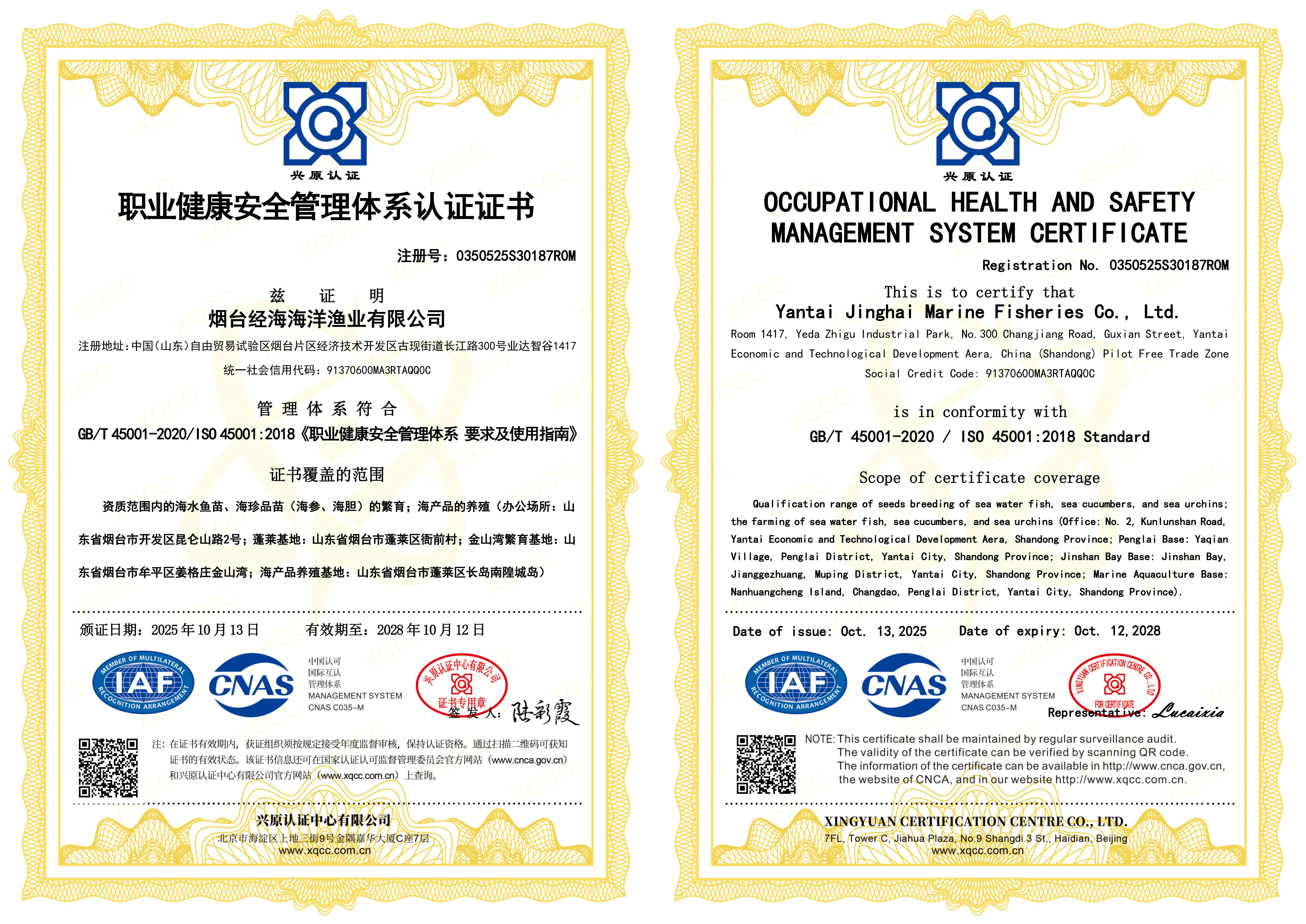經(jīng)海成功通過ISO14001環(huán)境管理體系和ISO45001職業(yè)健康安全管理體系認(rèn)證｜以國際標(biāo)準(zhǔn)鑄就可持續(xù)發(fā)展與員工安康的堅實基石