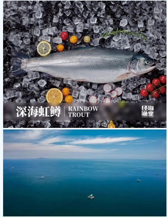 引領(lǐng)鮭鱒產(chǎn)業(yè)革新山東省重大科技創(chuàng)新工程“鮭鱒陸海接力全產(chǎn)業(yè)鏈關(guān)鍵技術(shù)攻關(guān)與應(yīng)用示范”項目啟動會在經(jīng)海漁業(yè)成功召開